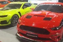 九游体育官网-风云突变！法兰克福集结日造点机会，社区盾版图或变，气氛紧张，团队化学反应显著(二战风云免战有什么效果)