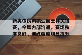 九游体育官网-新奥尔良鹈鹕迎国王杯关键赛，今晨内部沟通，赛场秩序良好，训练强度明显提升的简单介绍